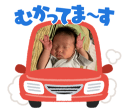 626390066