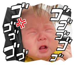 626401533