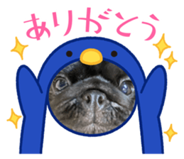 626405366