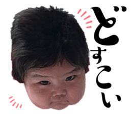 626431180