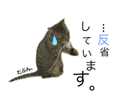 626454860