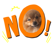 626466154
