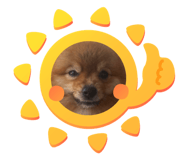 626466158