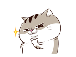 62647409