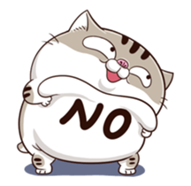 62647419