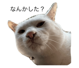 626482072