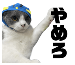 626498555