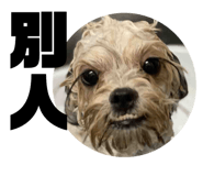 626501653