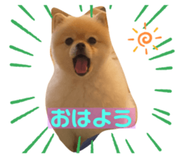 626513766