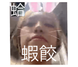 626538677