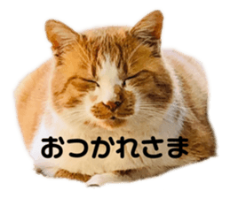 626548133