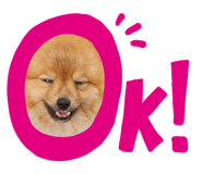626550560