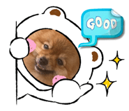 626550561