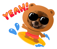 626550563