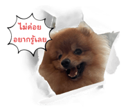 626550579