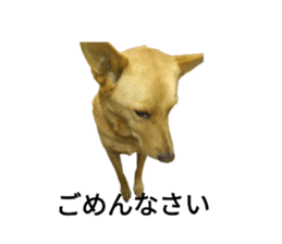 626568324