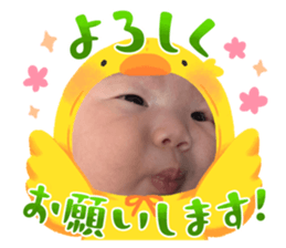 626569445