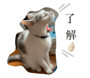 626583542