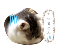 626583547