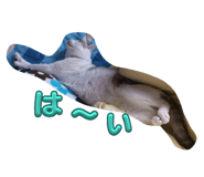 626583554