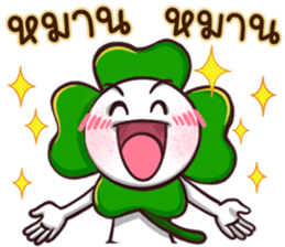 626590237