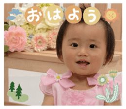 626590334