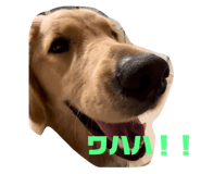 626590872