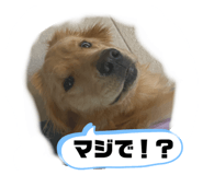 626590874