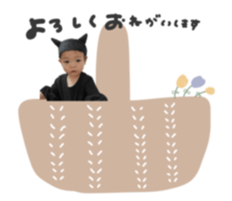 626624051