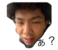 626624486