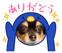 626670947