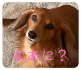 626671556