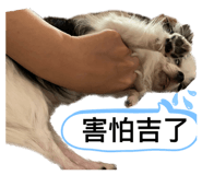 626680631