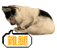 626680636