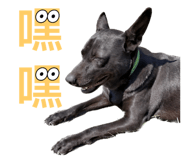 626680640
