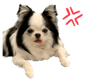 626680642