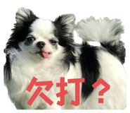 626680646