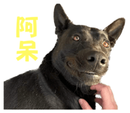 626680649