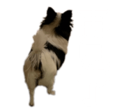 626680652