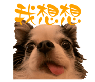 626680664