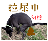 626680667