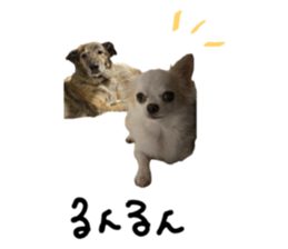 626685724
