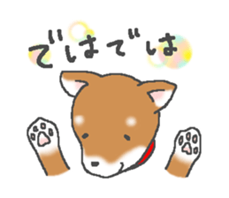 6266885