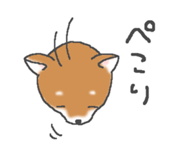 6266895