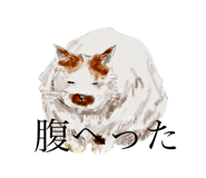626692535