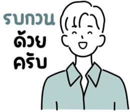 ลายที่ 29