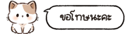 626696951
