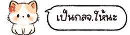 626696975