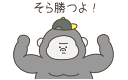 626706552