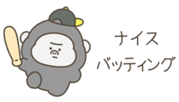 626706556